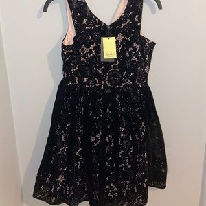 Bardot Velvet Lace Formal Dress
